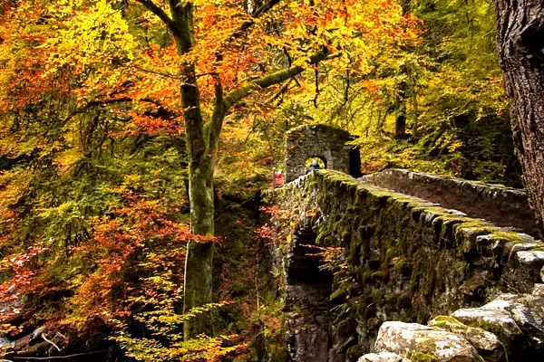 Un antico ponte di pietra nel bosco d'autunno, in Scozia