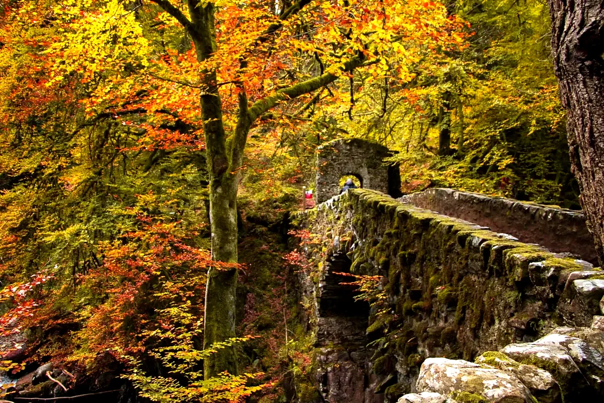 Un antico ponte di pietra nel bosco d'autunno, in Scozia