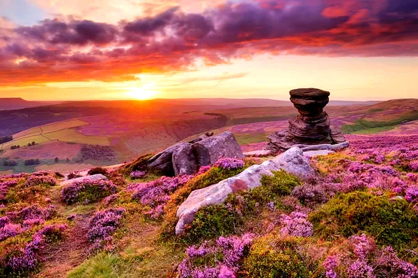 L'erica in fiore e il Salt Cellar su Derwent Edge, nel Peak District, al tramonto