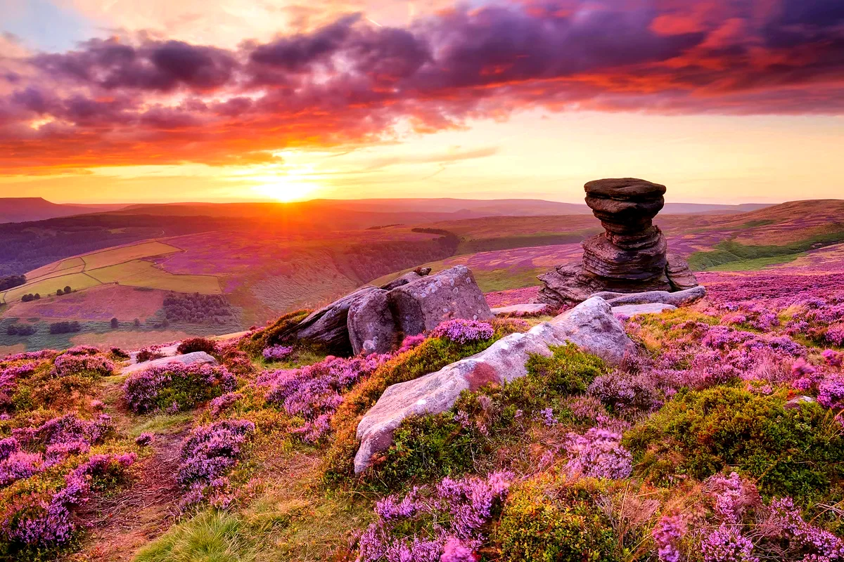 L'erica in fiore e il Salt Cellar su Derwent Edge, nel Peak District, al tramonto