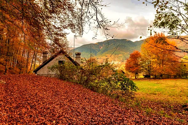 Un cottage tra gli alberi d'autunno e il prato coperto di foglie
