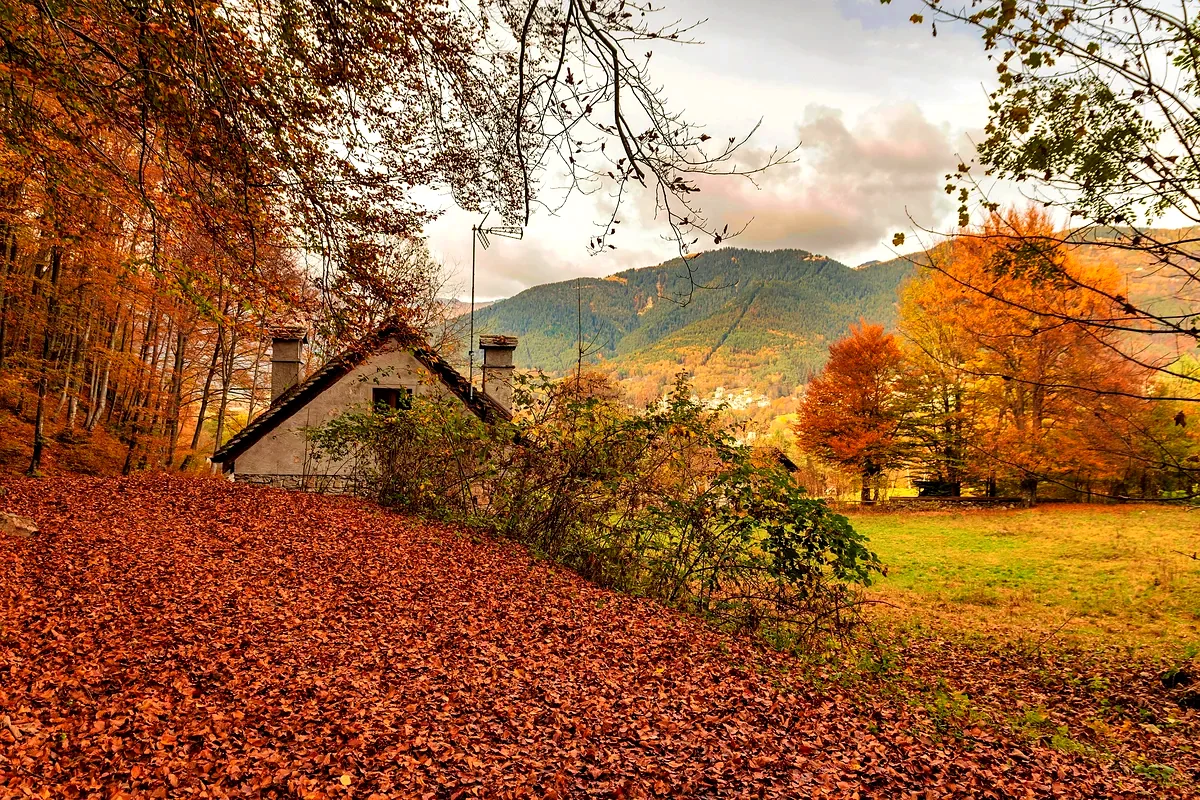 Un cottage tra gli alberi d'autunno e il prato coperto di foglie